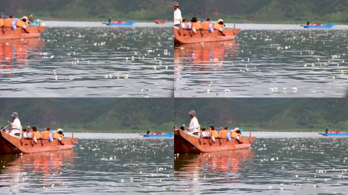 游船在飘满水性杨花的泸沽湖泛舟前行