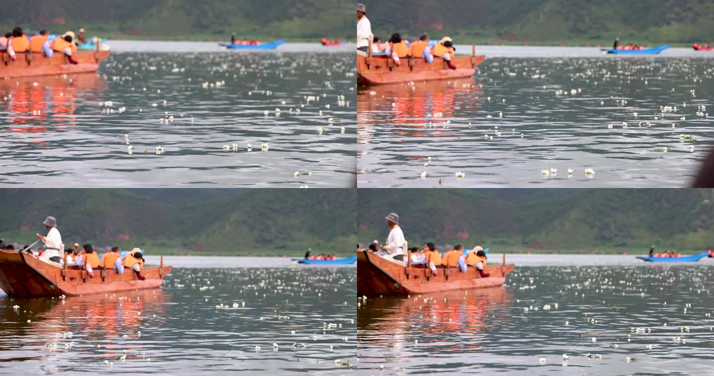 游船在飘满水性杨花的泸沽湖泛舟前行