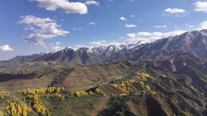 乐都 南山 乐都八景 南山大通道 雪山