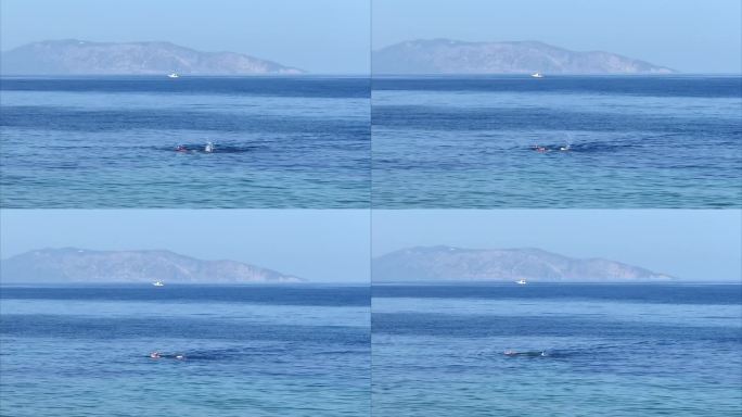 享受游泳在水晶蓝色的大海，4k股票视频