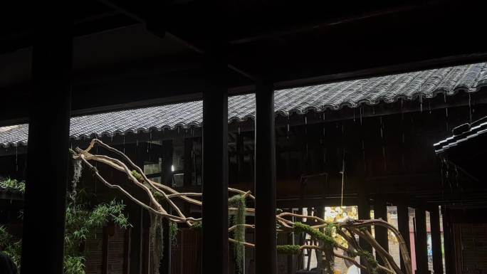 中式天井雨天植物黑白
