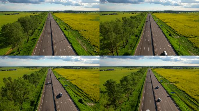 各种车辆行驶在高速公路上，周围是黄色的油菜地。
