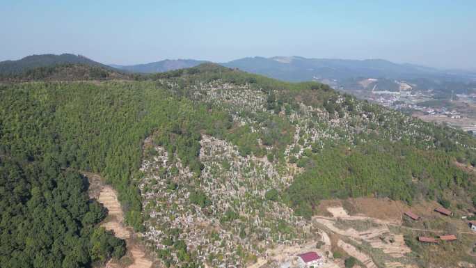 清明节扫墓墓地陵园航拍