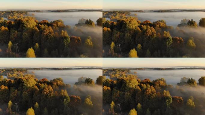 史诗般的惊人的自然景观。日出时令人惊叹的鸟瞰图。秋雾景观。雄伟的雾林鸟瞰图。朦胧乡村的日出。魔法雾到