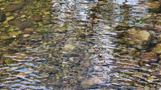 4K-Log-航拍张家界金鞭溪风景区