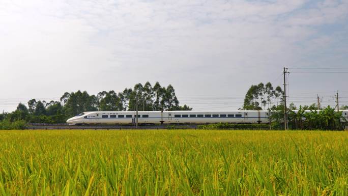 田野动车稻田上的高速列车