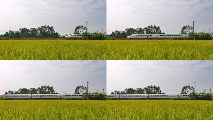 田野动车稻田上的高速列车