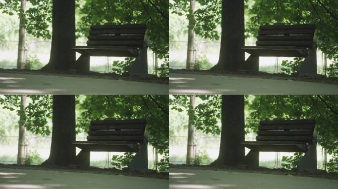 树下空长凳的静态照片
