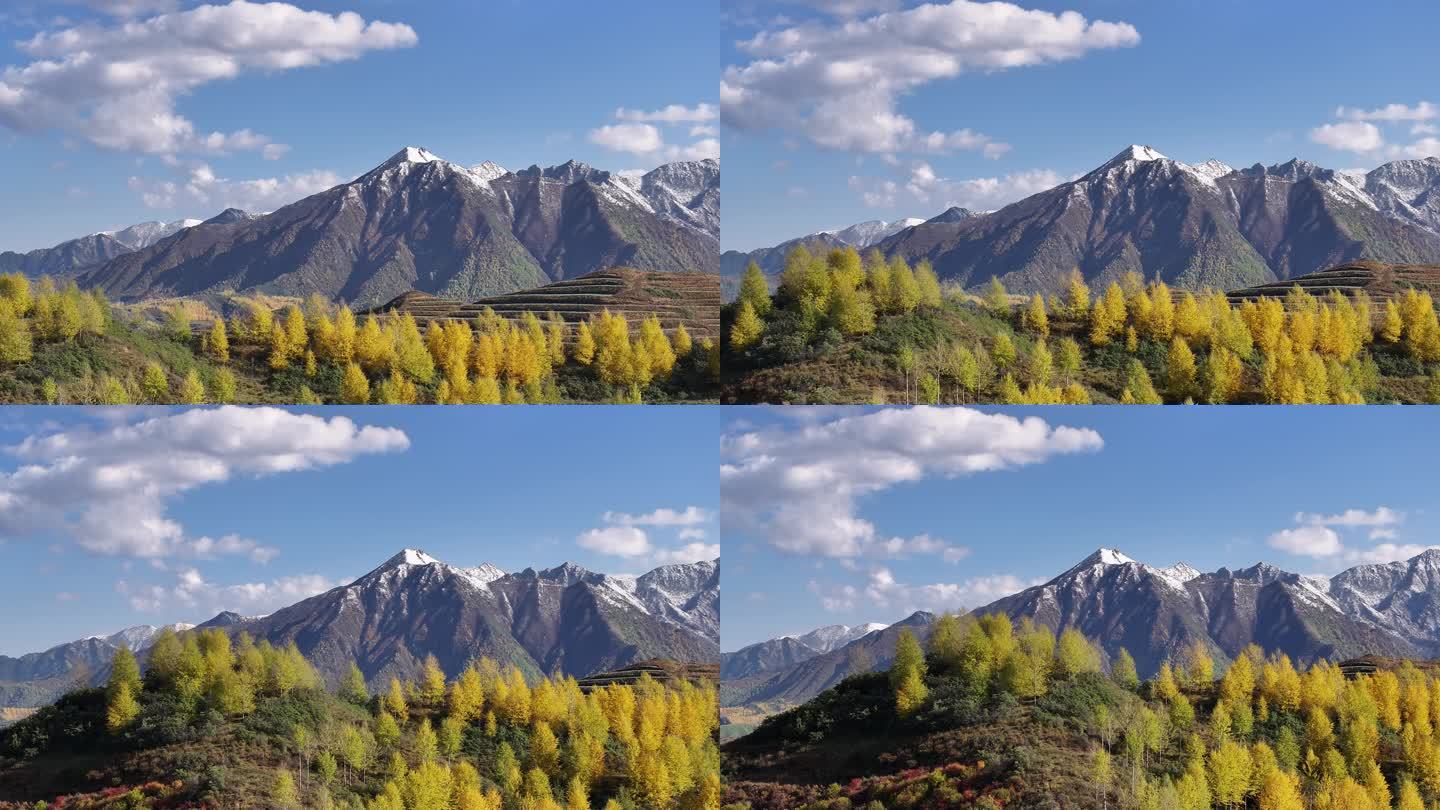 乐都 南山 乐都八景 南山大通道 雪山