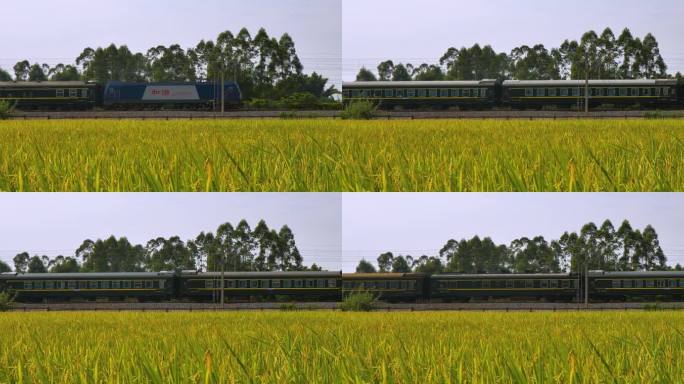 稻田 绿皮火车