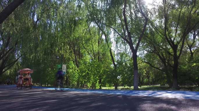 公园初秋游园游人绿色家园生态城市骑行跑步