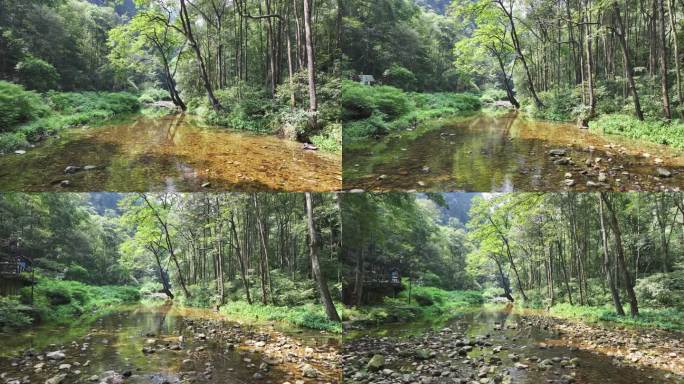 4K-Log-航拍张家界金鞭溪风景区