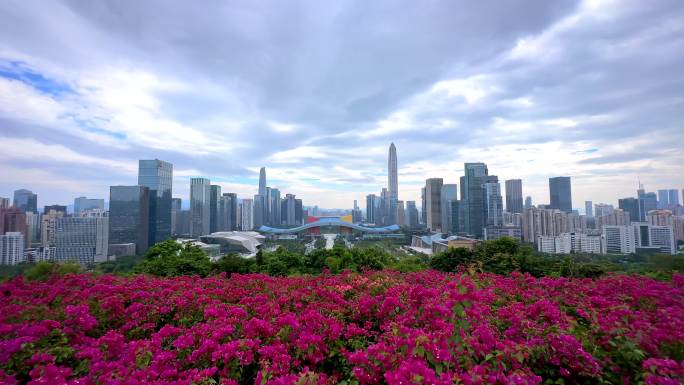 深圳莲花山-市民中心-延时