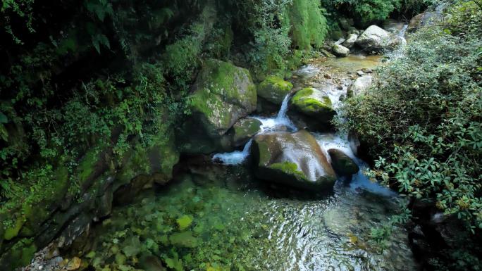 高山溪流 山泉水