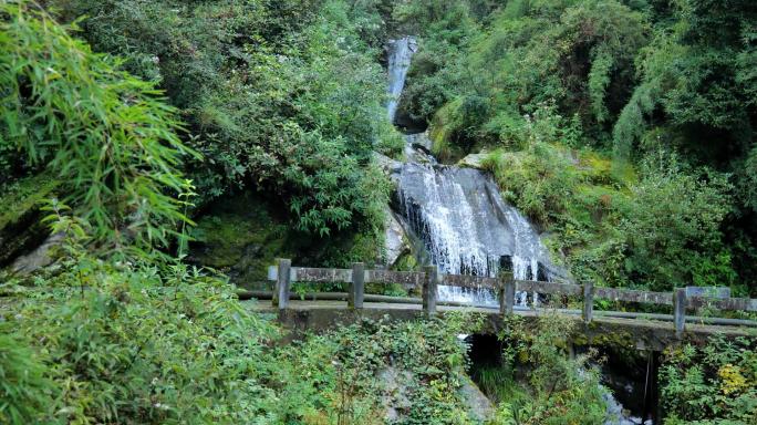 高山溪流 山泉水