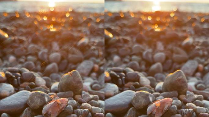 日落时，在浪花中，卵石沙滩上飞舞的苍蝇