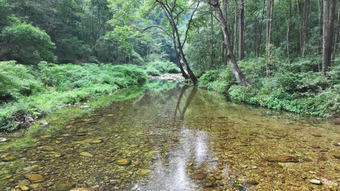 4K-Log-航拍张家界金鞭溪风景区