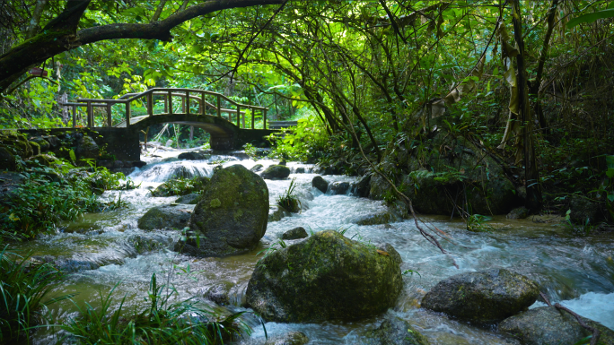 山谷清澈溪流