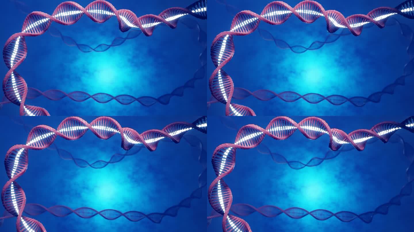 DNA链或染色体从细胞核中射出
