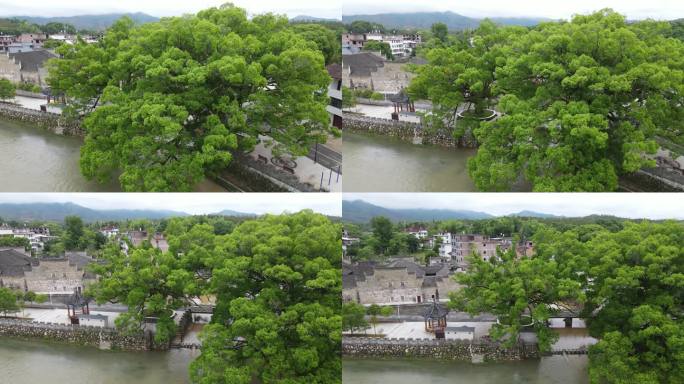 赣州宁都小布胡氏家庙客家祖地