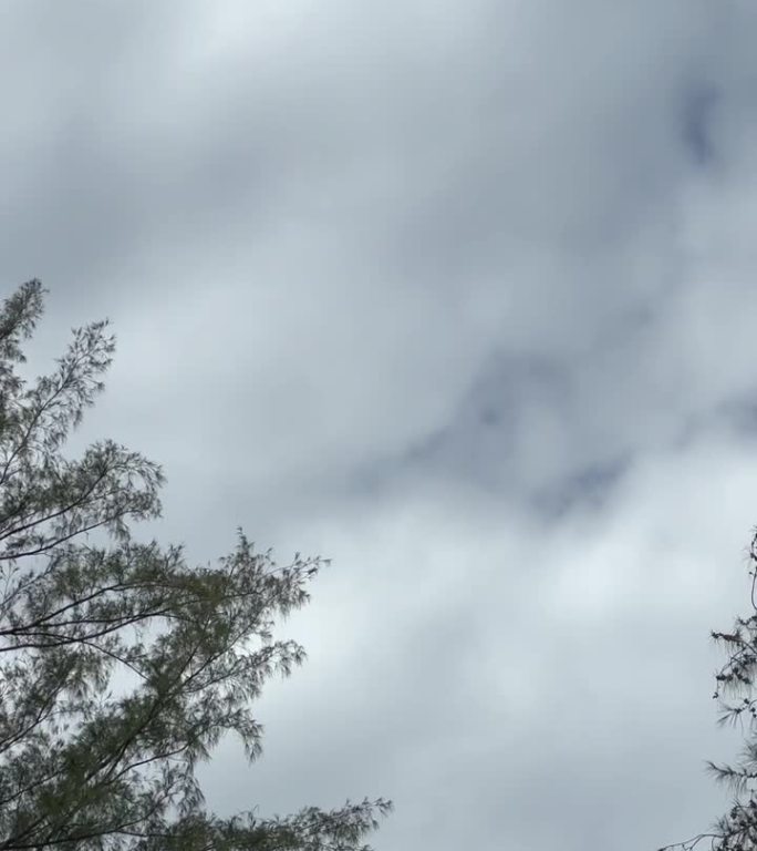 小飞机在乌云密布的天空中飞行的跟踪镜头