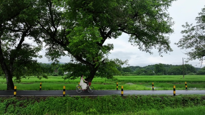 林中小道骑自行车