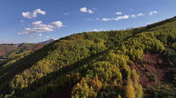 乐都 南山 乐都八景 南山大通道 雪山