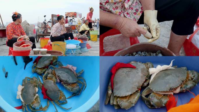 人文浔埔浔埔女摆摊卖海鲜卖红鲟