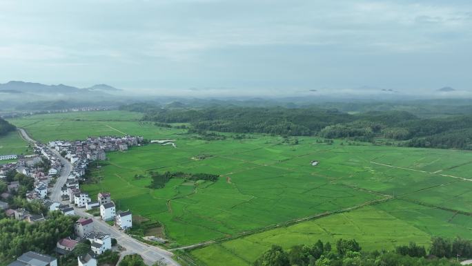 美丽乡村航拍田园风光绿色农村鸟瞰田野风景