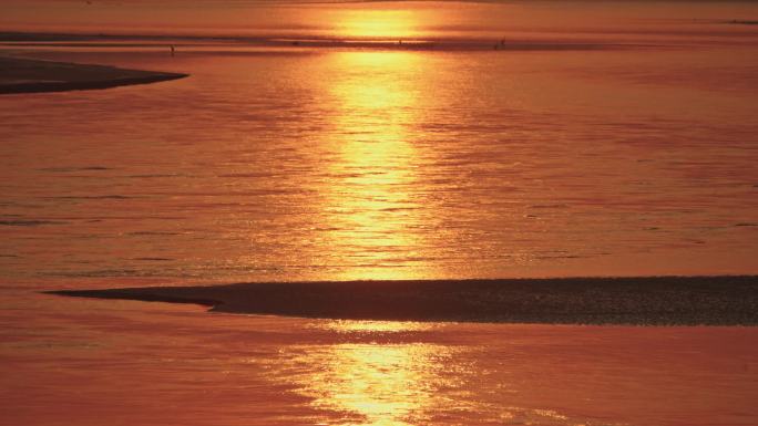 4K实拍黄河水金色河水江水日出夕阳水面