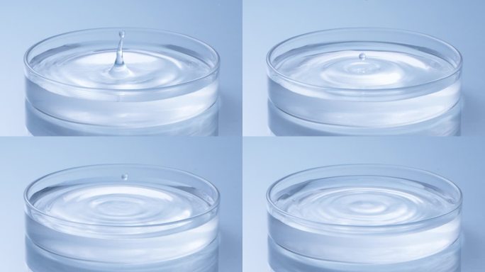 水滴进培养皿中 蓝色背景 4k超级慢镜头