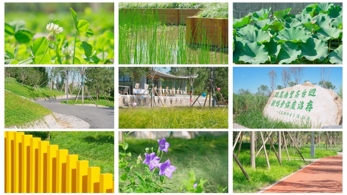 北京南苑森林湿地公园