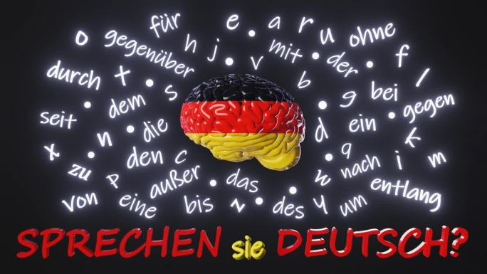 你会说德语吗?学习外语流利人脑字母文章单词介词3d动画在线课程教育听力阅读
