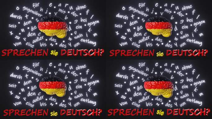 你会说德语吗?学习外语流利人脑字母文章单词介词3d动画在线课程教育听力阅读