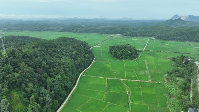 美丽乡村航拍田园风光绿色农村鸟瞰田野风景