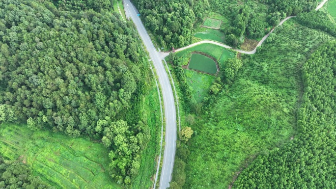 森林公路航拍乡村道路俯拍绿色山路风景风光