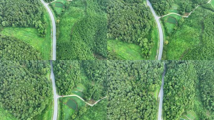 森林公路航拍乡村道路俯拍绿色山路风景风光