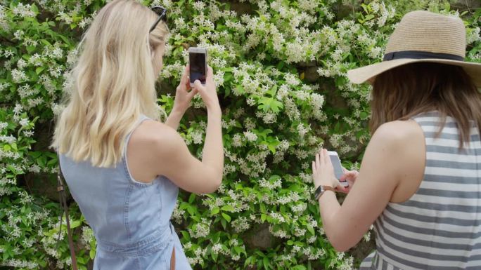 度假的女游客用智能手机拍满墙的花。女孩用手机分享生活方式的照片，发短信享受夏天在意大利的欧洲度假旅行