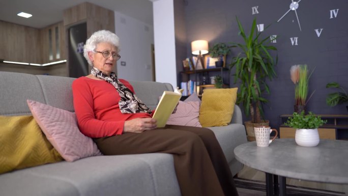 退休的老年妇女在客厅里大声朗读一本书