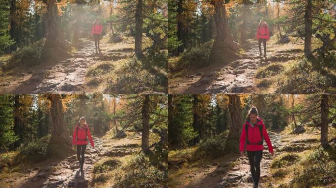 女徒步旅行者在森林中散步，周围是令人难以置信的秋景