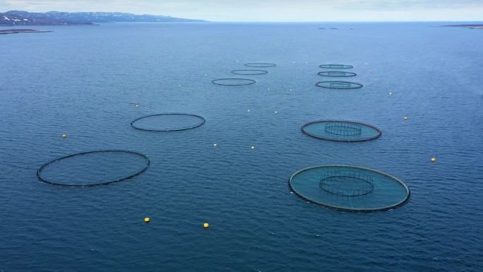 航拍画面挪威农场捕捞鲑鱼