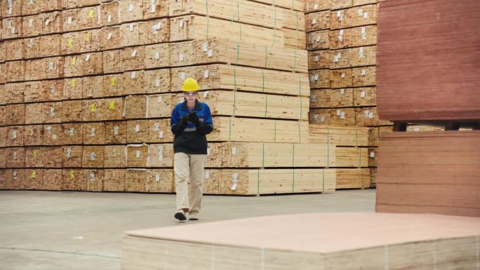 工厂工人检查大型仓库托盘中的加工木材产品。