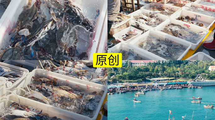 海鲜市场渔民码头捕捞海鲜4