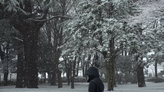 涩谷，东京，日本:代代木公园的冬季雪景。