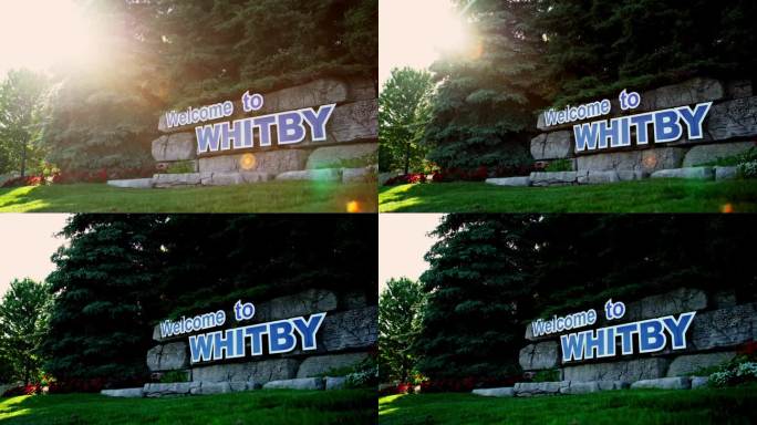 “欢迎来到惠特比”的醒目标语贴在树冠下的石墙上，相机平滑地平移以捕捉场景。