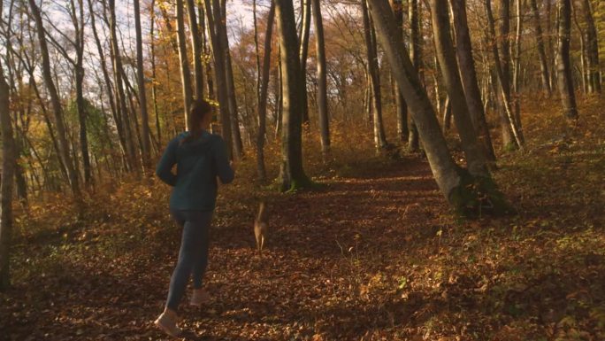 一位年轻的女士带着她的狗在金色的秋天森林里放松地跑步
