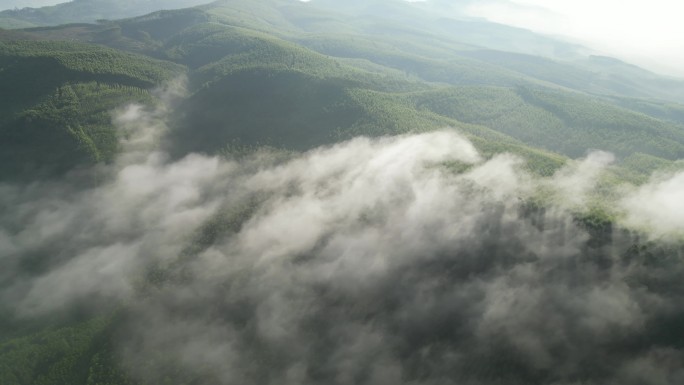 大自然风景云雾