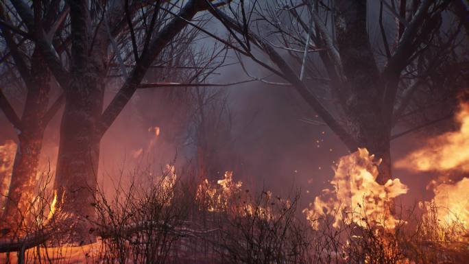 森林大火自然消防宣传