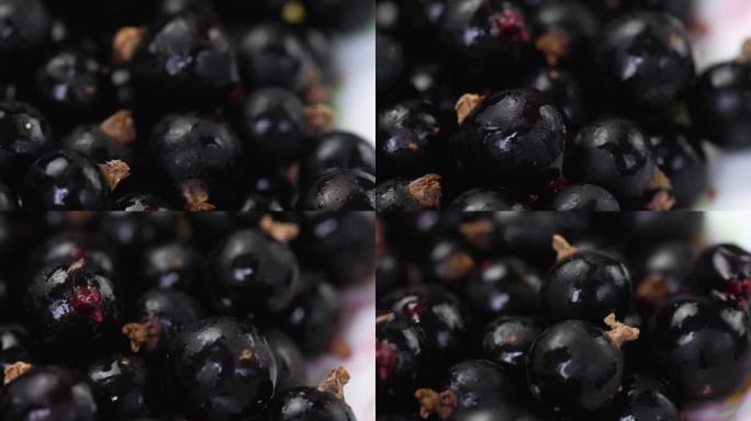 特写:一串成熟的黑加仑子旋转着。收获浆果。烹饪浆果。黑醋栗宏。浅景深