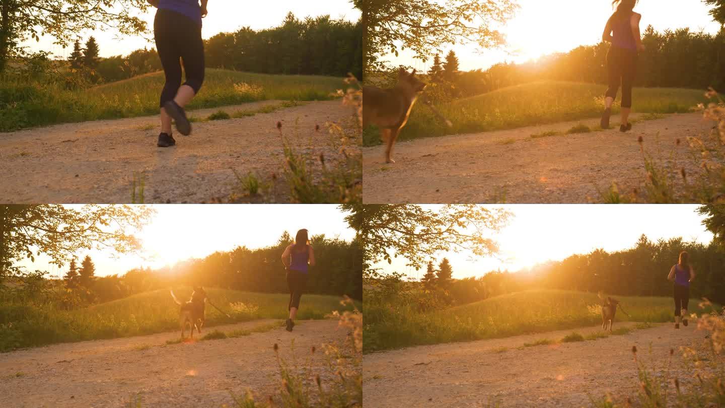 镜头光斑:一个健康的女人带着她的狗在砾石路上跑着，她的狗拿着一根棍子